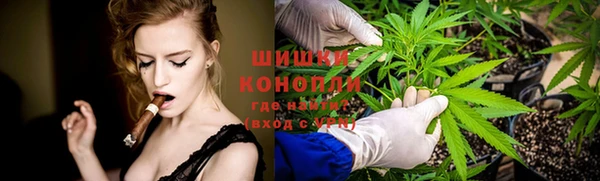 PSILOCYBIN Протвино