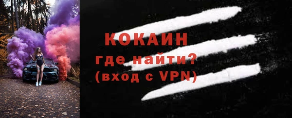 стаф Верея