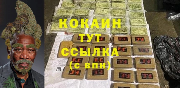 стаф Верея