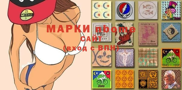стаф Верея