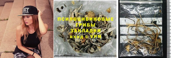 стаф Верея